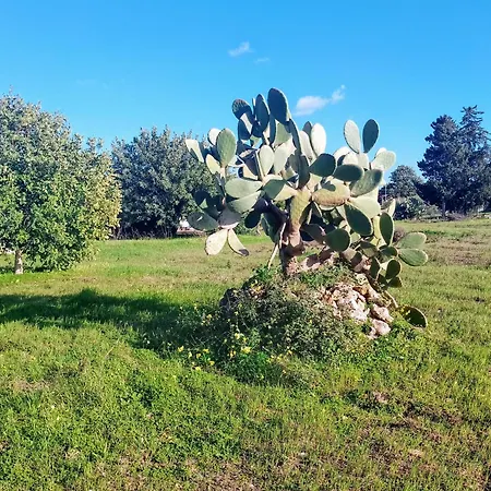 Dependance In Siciliana Σπίτι διακοπών *