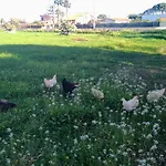 Dependance In Siciliana Ferienhaus Ognina