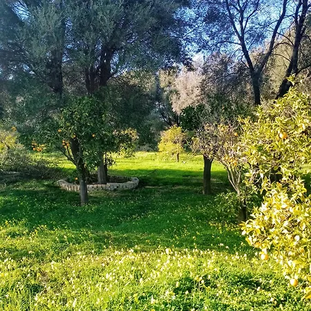 Dependance In Siciliana Prázdninový dům